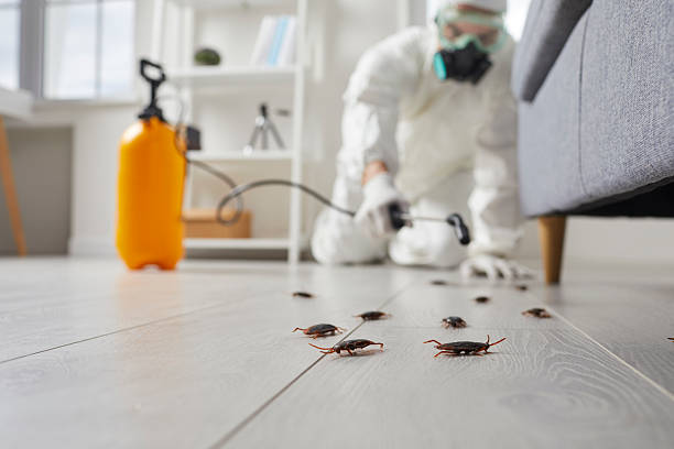 Commercial Kitchen Cockroach Control in Oakland